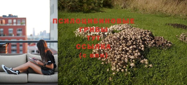 a pvp Волосово