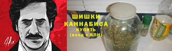 мдпв Володарск