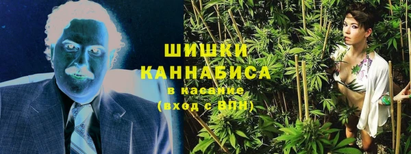 МДПВ Волоколамск