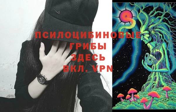мдпв Володарск