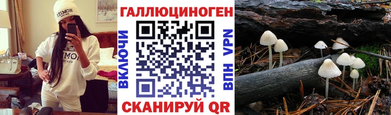 Псилоцибиновые грибы мицелий  даркнет наркотические препараты  Калининец 